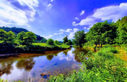 Big Timber Creek Cabin - Foto 24