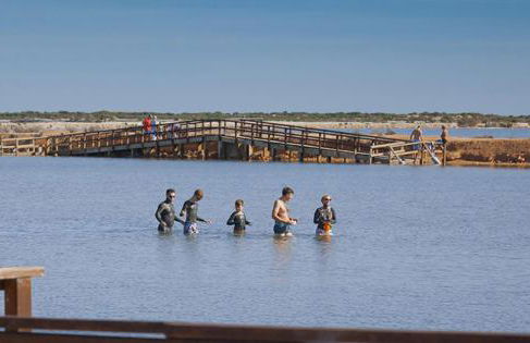 CASA SOLEADA Piscina CLIMATIZADA y PRIVADA - Foto 39