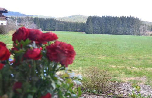 Hans Girgl Hof - Foto 59