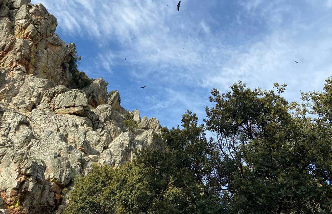 Tour pelas pinturas rupestres do Prado del Azogue - Foto 4