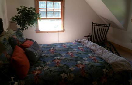 Bed and Breakfast Cabin for Weekend Getaway near Millbrook, New York - Photo 9