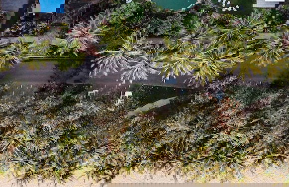 Melaleuca Resort - Photo 30