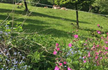 Rhöner Sternenhimmel FeWo 1 und 2 - Foto 10
