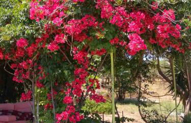 Megris Country Houses - Foto 12