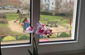 FeWo „Lucy“ 5 Personen, zentrale Lage, Parkplatz - Foto 21