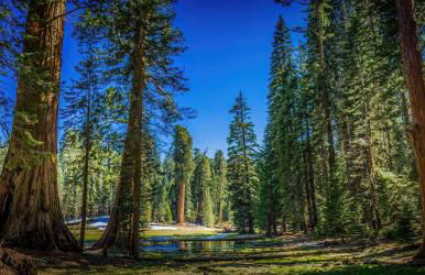Birdwatch Cottage With River Beach Pass - Photo 33