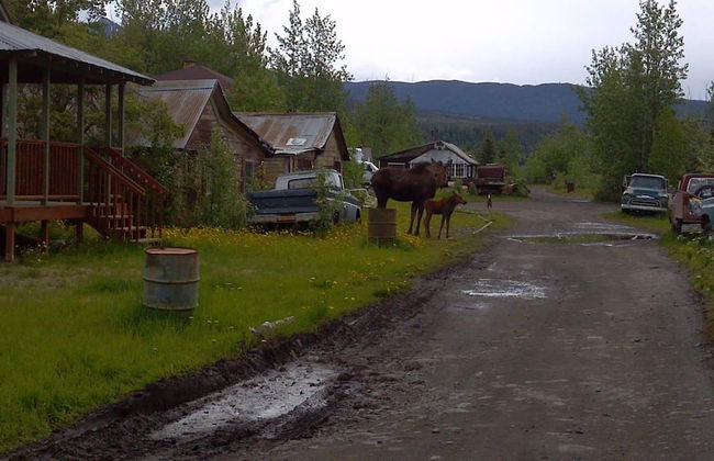 Blackburn Cabins - Photo 36