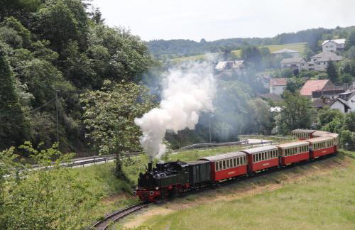 Ferienwohnung Brohltal-Aue - Foto 27
