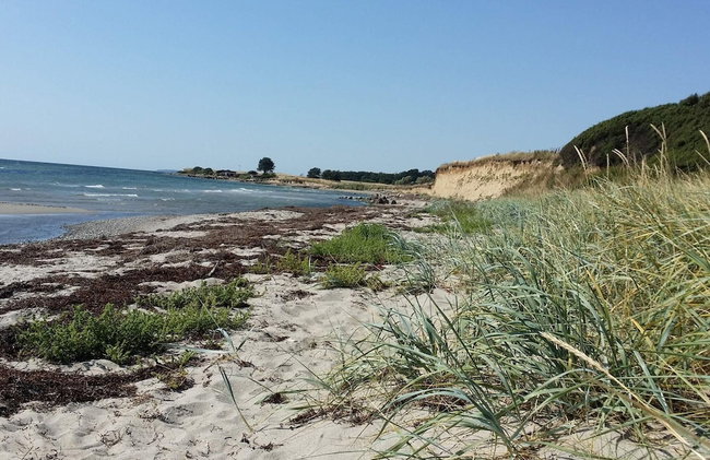 4 Person Holiday Home in Karrebaeksminde - Foto 33