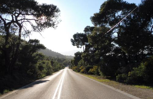 Palm tree house by the beach - Foto 59