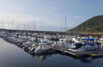 CasaAriel Terceira - Photo 16