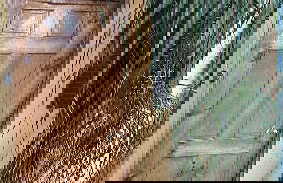 Apartamento tipo studio el Coyol - Foto 12