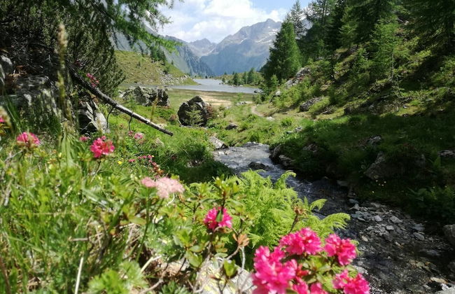 Chaletdorf Fanningberg - Foto 71