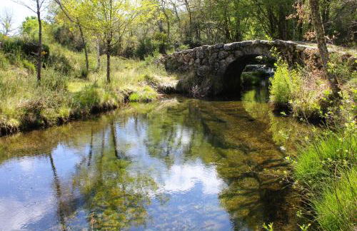 Casa Boletus - Foto 75