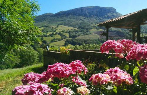 Finca Artienza - Foto 28