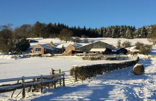 The Barn at Pentregaer Ucha, with tennis court and lake - Foto 26