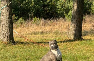 wietrznie-wichrowe wzgórze - Foto 70