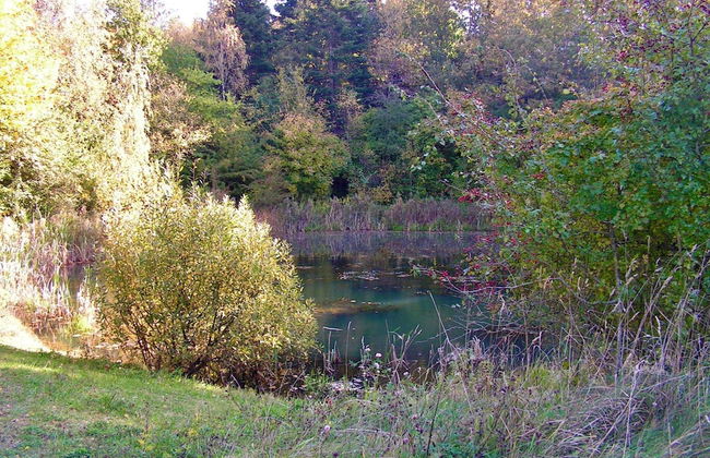 6 Person Holiday Home in Taastrup - Photo 20