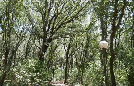 Casa Carolina - Foto 18