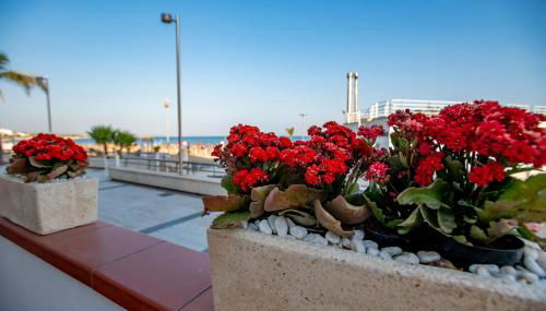 DELPOSTO Marina di Ragusa (elt) - Foto 5