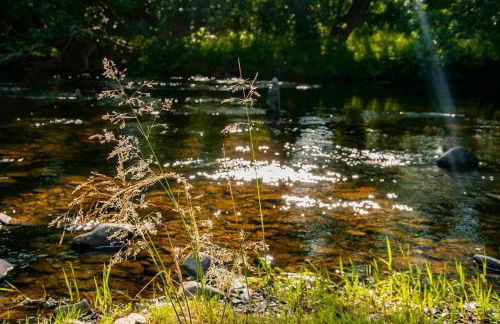 The Boatshed at Camp Plas - Photo 52
