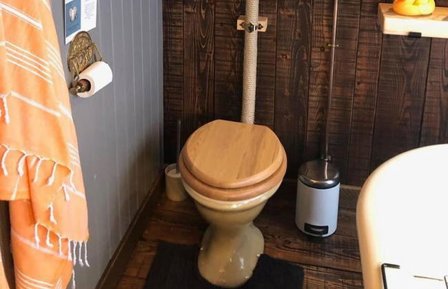 1 Bed Cabin in the Magical Galloway Forest Park - Photo 10