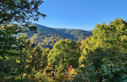 Candyland Cabin by Carolina Mornings - Foto 39