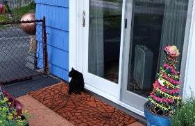 Blū House - Foto 45