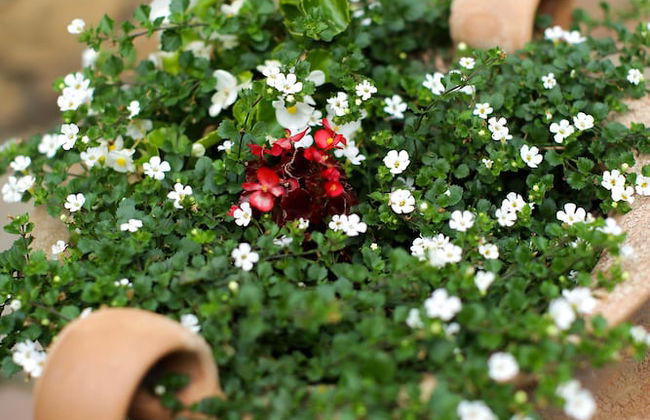 Adina Apartment Hotel Budapest - Foto 54