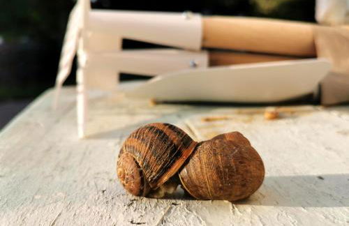 Agriturismo Mondo - Foto 7