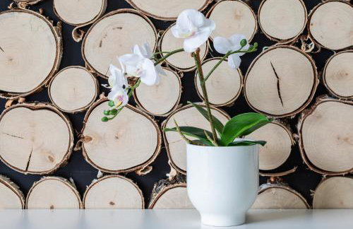 Ekskluzywne Apartamenty "Na Wydmach" Międzywodzie by Noclegi Renters - Foto 24