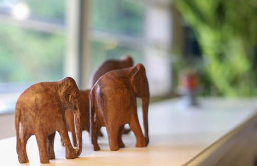 Chez Maminou - 8 couchages parking proche centre - Photo 23