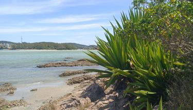 Duart's Home - Foto 5