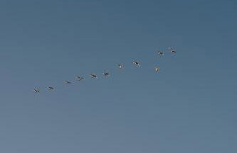 Boho Sfera - Foto 48