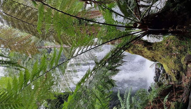 La peculiar naturaleza del Parque Nacional del Monte Field