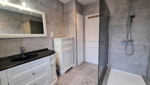 Grande Maison au Bord d'un Lac avec Spa, Jardin Clôturé et Proche du ZooParc de Beauval - FR-1-591-336 - Foto 3