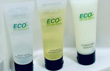 Iron Bound Gem - Foto 26