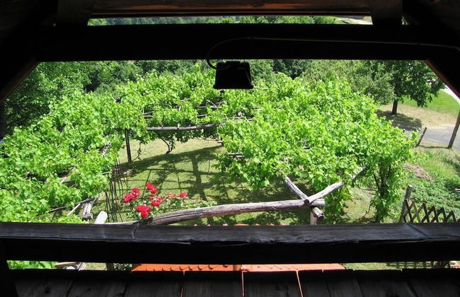 Holiday House Carovina - Foto 10