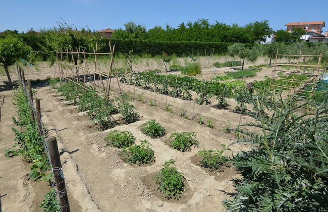 Peacefully Located Apartment in Gatteo near Sea - Foto 20