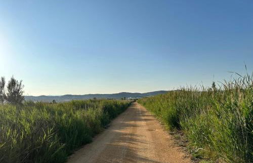 Bajo en Playa Romana Alcossebre - Foto 58