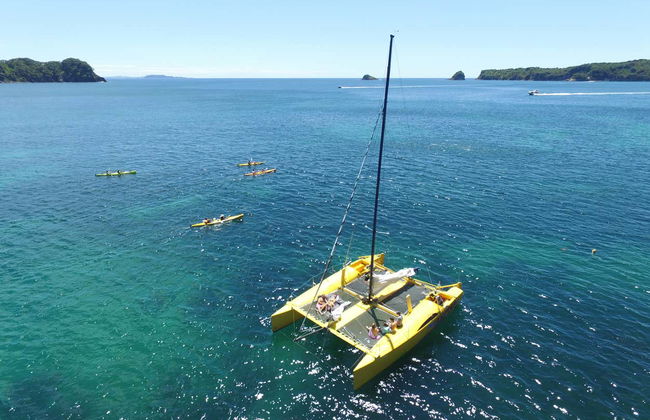 Coromandel Coast Boat Tour - Photo 6