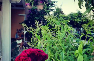 Casolare Isabella "Il rifugio dei vinili" and Alice's room - Foto 41