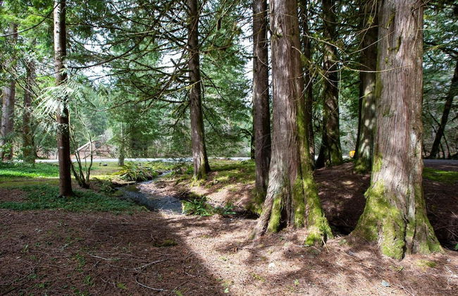 56SLL - Fireplace - Inexpensive - Kitchenette - Sleeps 4 - Foto 27