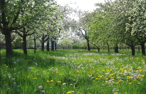 Ferienwohnung zwischen Rhein und Schwarzwald - Foto 23