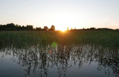 Mazurska Sielanka - Foto 28