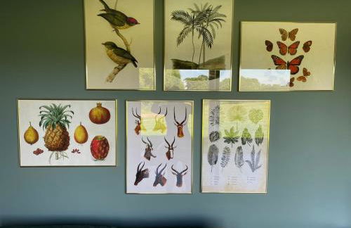 Hazy Hollow - Foto 19