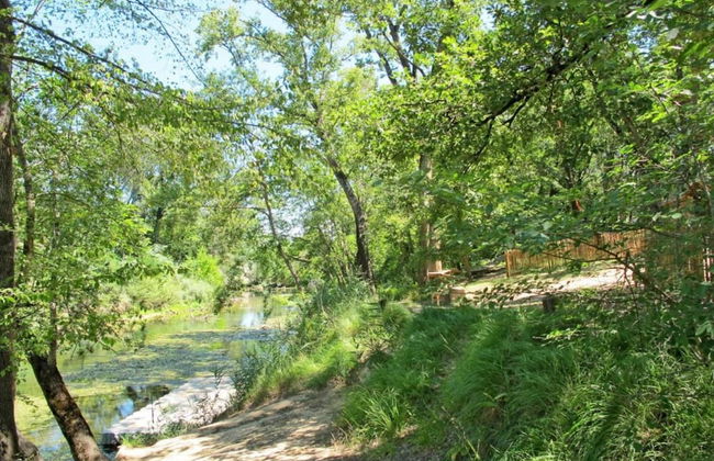 Villa in Vidauban With Pool & Vineyards Nearby - Foto 32