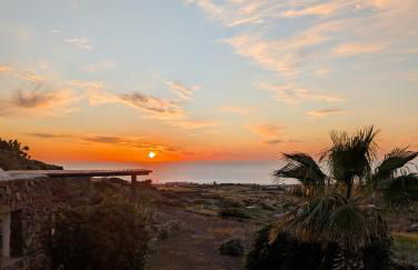 Dammusi Musa - Foto 28