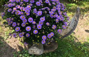 Little Cottage auf 2 Etagen - Foto 10