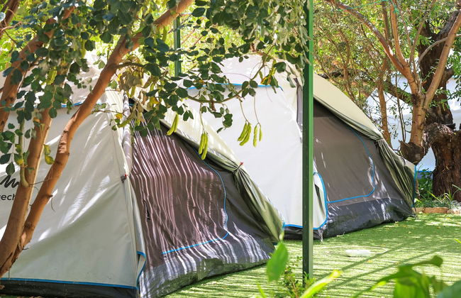 Harnup Apart - Photo 39